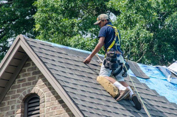 Best Shingle Roofing Installation  in Russell, KS